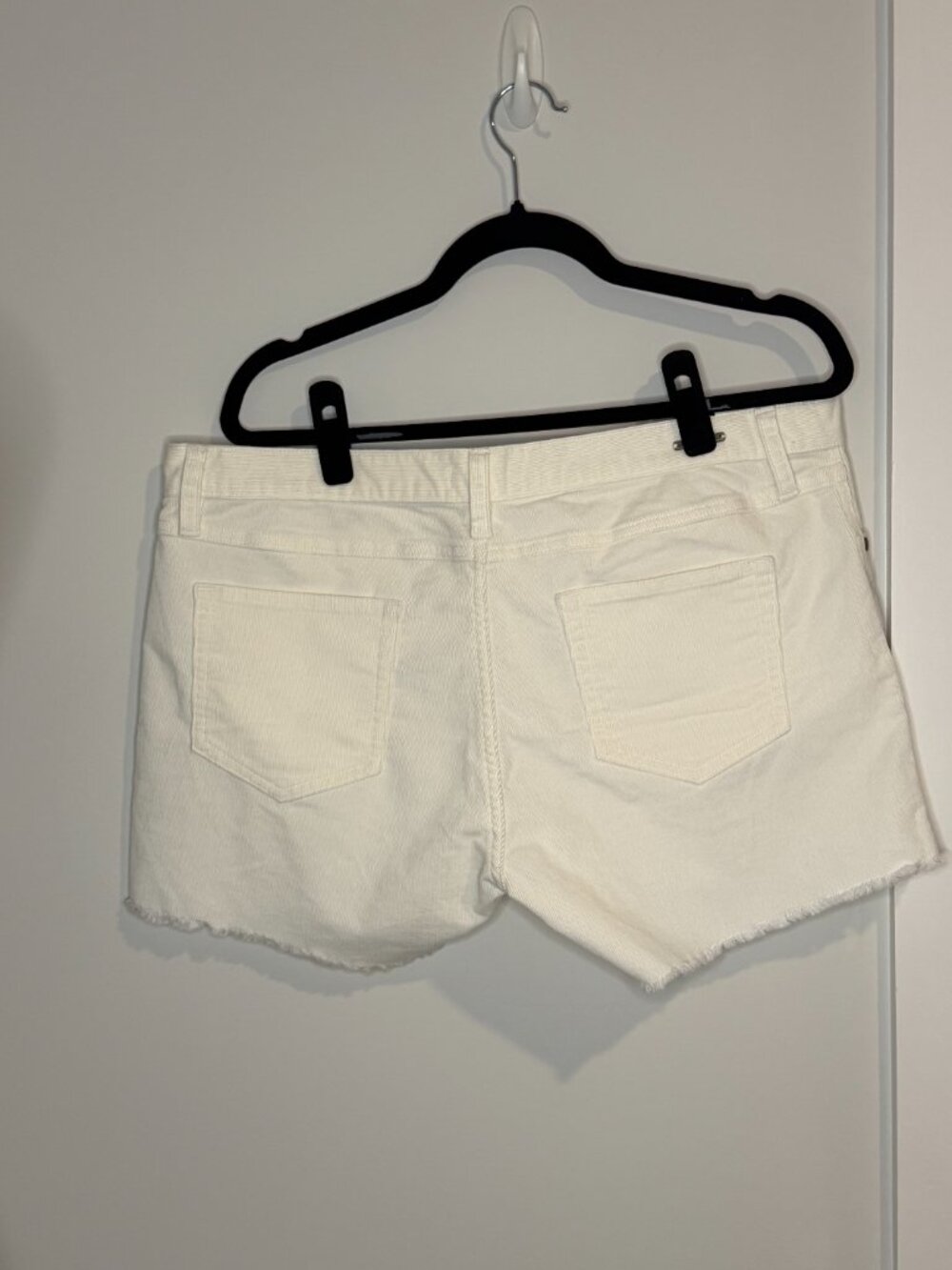 Carve Design - Light Corduroy Shorts - Picture 4 of 7